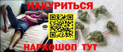 индика Можайск