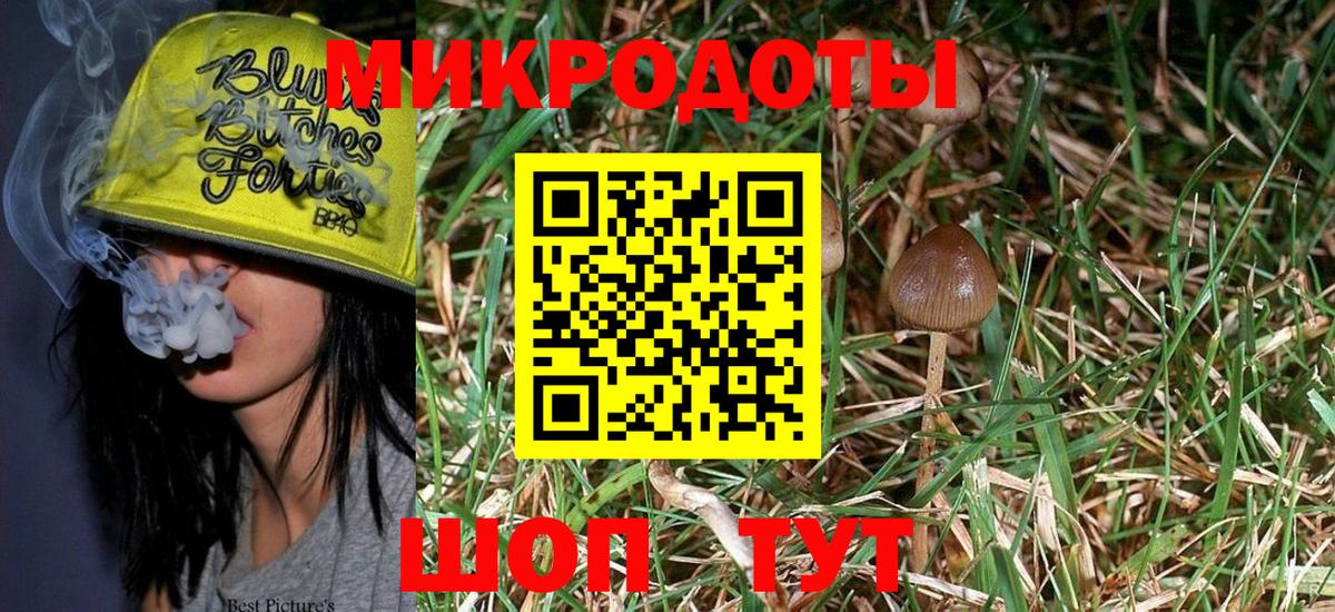 Галлюциногенные грибы Psilocybe  Вход с VPN  Тула 